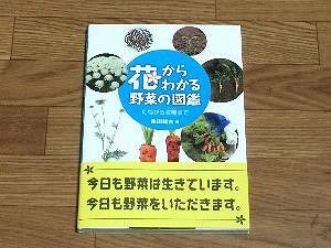 vegetables-book