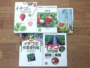strawberry-book