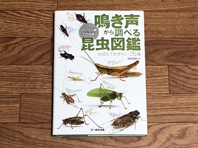 Insect-picture-book
