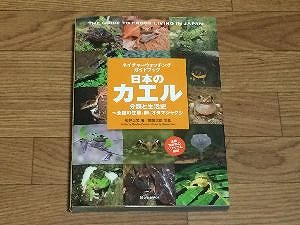 japanese-frogs-book